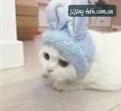 赵悦