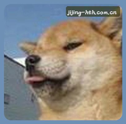 黄婷婷